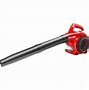 Image result for Leaf Blower Fire Store
