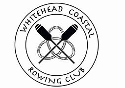 Image result for Gustave Whitehead Wing Draw