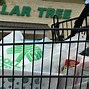 Image result for Dollar Tree Products