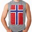 Image result for Red Sleeveless Shirt