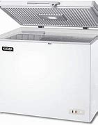 Image result for Best Commercial Stand Up Deep Freezer