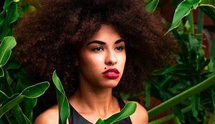 Image result for Afro Perm