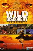 Image result for Discovery Channel Animals DVD