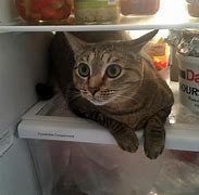 Image result for GE Refrigerator Troubleshooting
