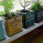Image result for Indoor Wood Herb Planter Box