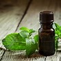 Image result for Lung Cleansing Herbs