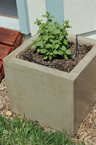 Image result for Homemade Concrete Planters