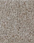 Image result for 1 800 Carpet