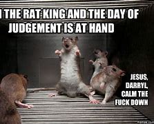 Image result for Rat Jokes