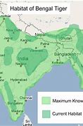 Image result for White Tiger Location