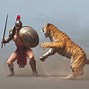 Image result for Gladiator Tiger