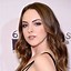 Image result for Actress Liz Gillies