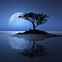 Image result for Night Moon Tree