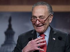 Image result for Charles E. Schumer Election