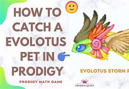 Image result for Storm Prodigy Pets