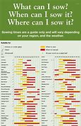 Image result for Fruit Seed Identification Chart