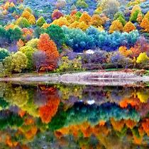 Image result for fall ipad wallpapers