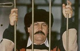 Image result for Pablo Escobar Series