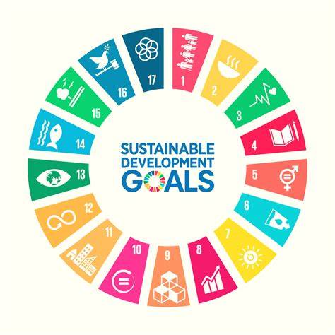 Pakistan falls 4 spots in the Sustainable Development Report 2020 - The ...