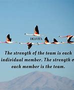 Image result for Positive Team Quotes