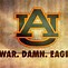 Image result for Auburn College Football