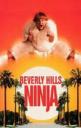 Image result for Chet Walters Beverly Hills Ninja