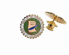 Image result for 116th Congress Lapel Pin