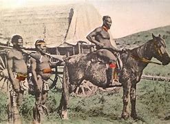 Image result for Anglo-Zulu War