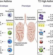 Image result for Asthma Biologics