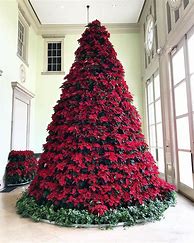 Image result for Christmas Tree with Poinsettia Decorations