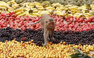 Image result for Monkeys feast Lopburi