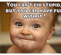 Image result for Can't Fix Stupid Jokes
