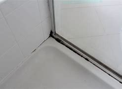 Image result for Shower Mold Removal