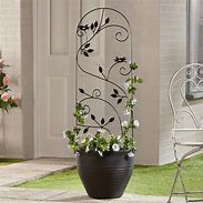 Image result for Decorative Plant Supports