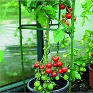 Image result for Tomato Plant Supports