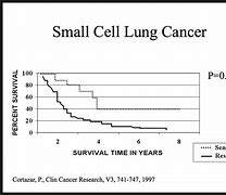 Image result for Small Cell Lung Cancer Prognosis
