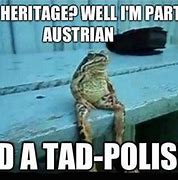 Image result for Polish Joke of the Day