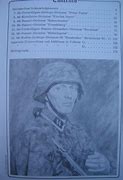Image result for Waffen SS Commanders