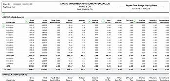 Image result for Paychex Employee Earnings Record