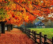 Image result for 1024 X 768 Fall Wallpaper