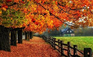 Image result for Fall Computer Wallpaper Free