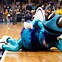 Image result for Boomer Pacers Mascot 2019 Pictures