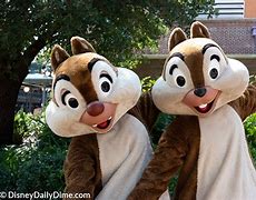 Image result for Disney Hollywood Studios Character Animation