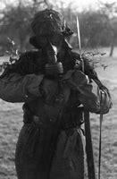 Image result for Waffen SS France