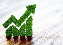 Image result for Sustainable Growth