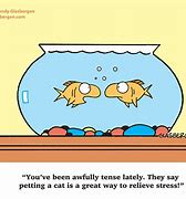 Image result for Stress Relief Cartoon