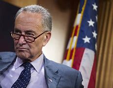 Image result for Schumer Images