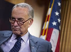 Image result for Charles Schumer Official Photo
