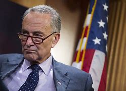 Image result for Iris Schumer