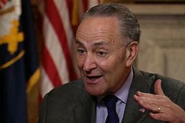 Image result for Chuck Schumer